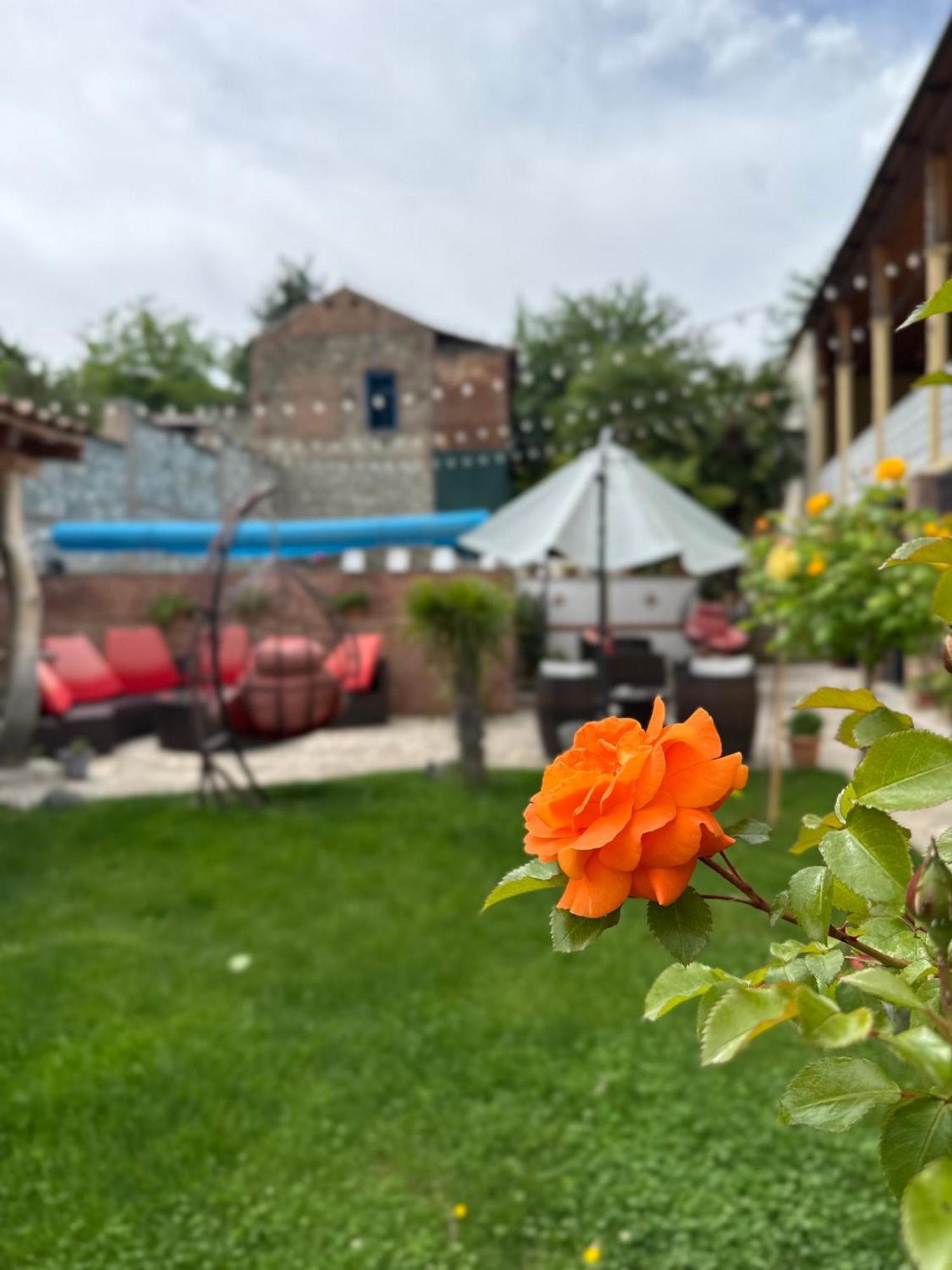 Boutique Hotel Talaveri In Telavi Eksteriør billede